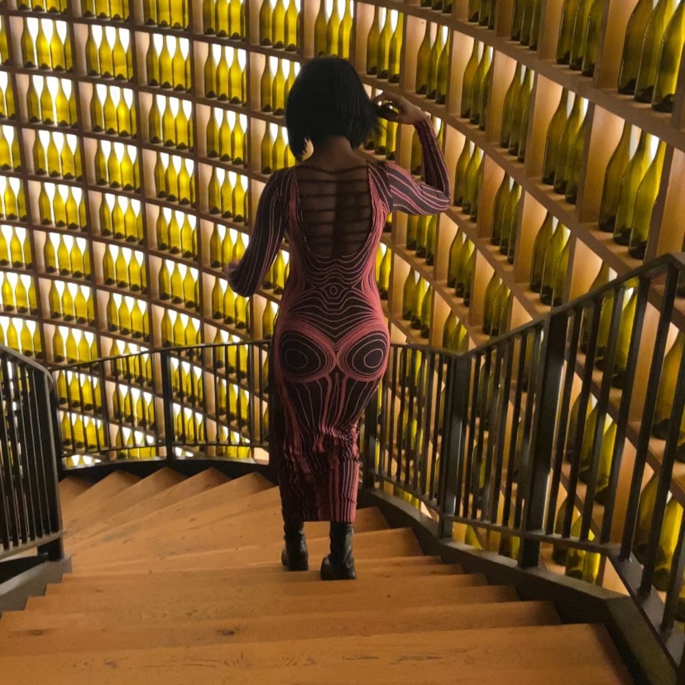 Sexy art silhouette dress in pink and black